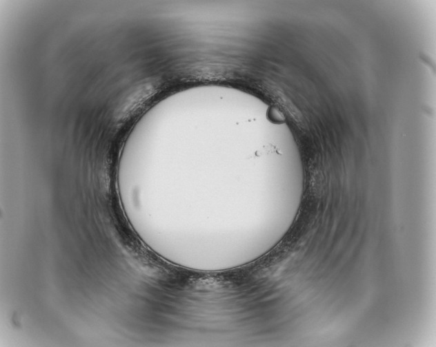 X0000095900635200802011129