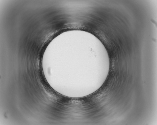 X0000095900636200802011129