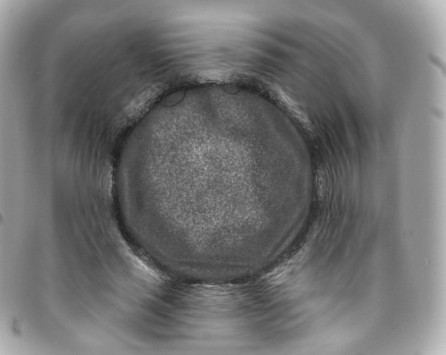 X0000095900637200802011129