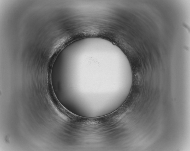 X0000095900638200802011129