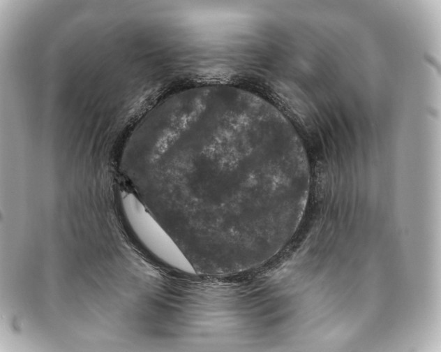 X0000095900641200802011129