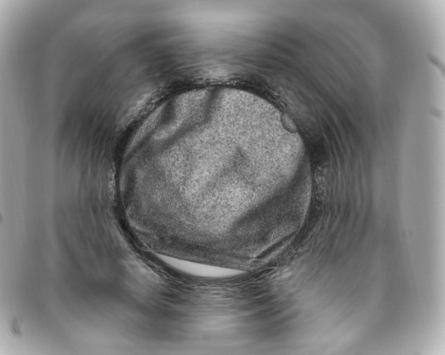 X0000095900642200802011129