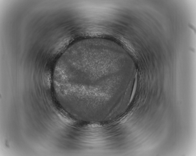 X0000095900644200802011129