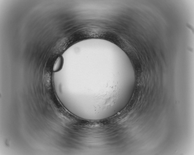 X0000095900646200802011129