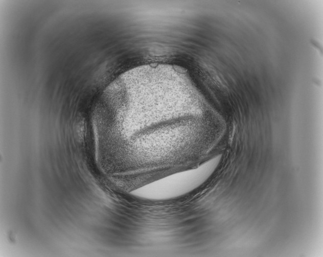 X0000095900647200802011129