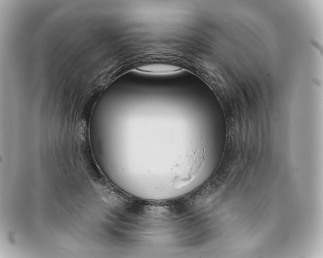 X0000095900649200802011129