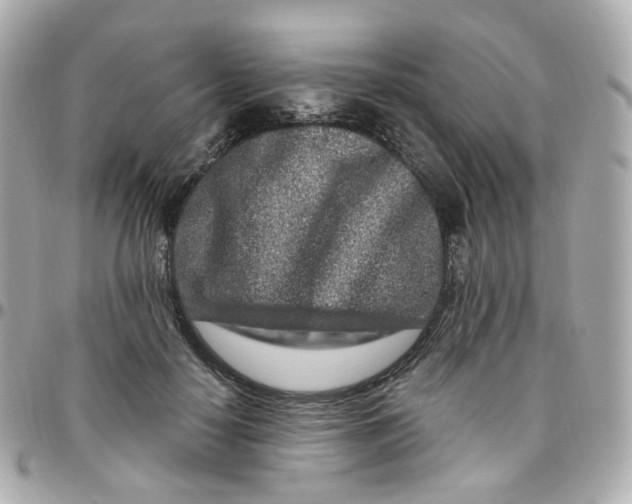 X0000095900650200802011129