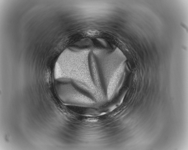 X0000095900651200802011129