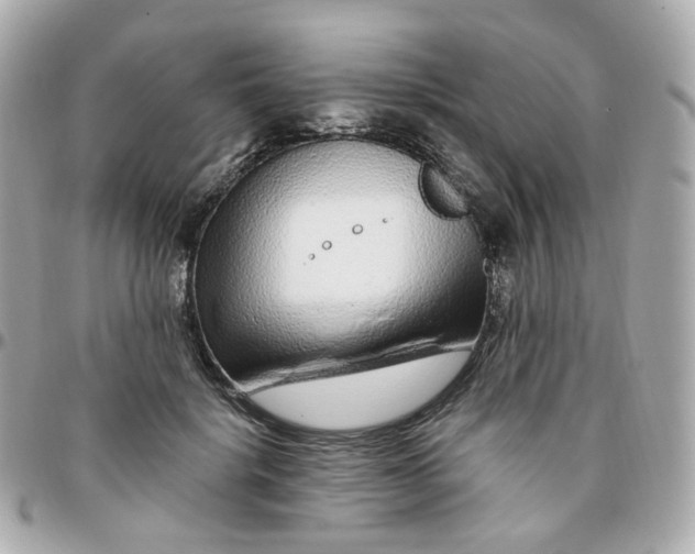 X0000095900652200802011129