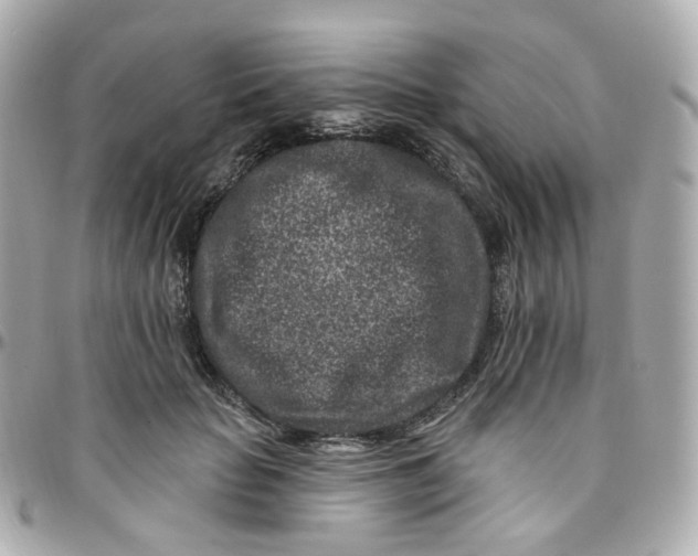 X0000095900653200802011129