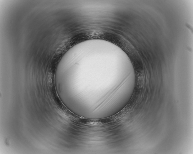 X0000095900654200802011129