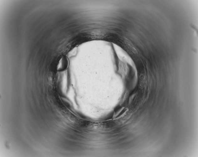 X0000095900655200802011129