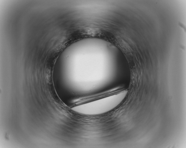 X0000095900656200802011129