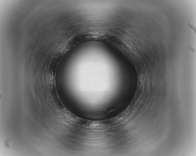 X0000095900657200802011129