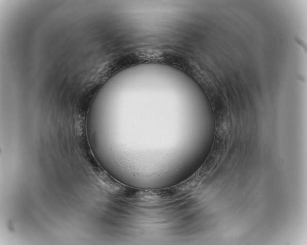 X0000095900658200802011129