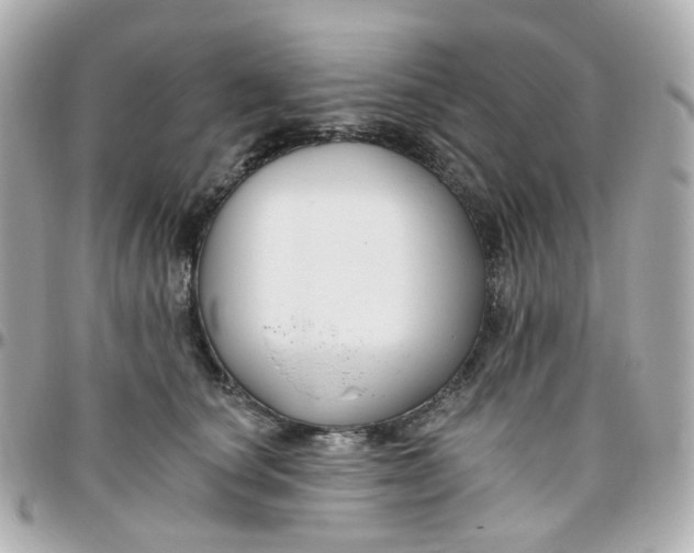 X0000095900660200802011129