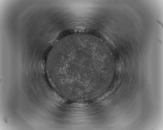 X0000095900661200802011129