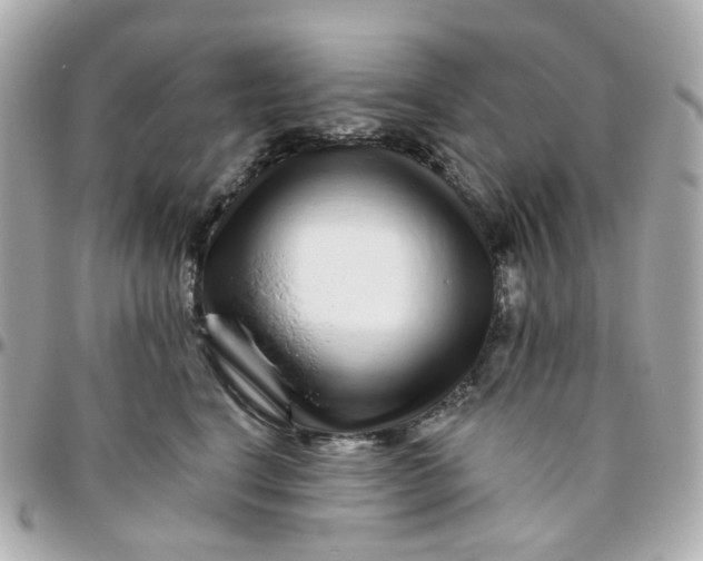 X0000095900664200802011129