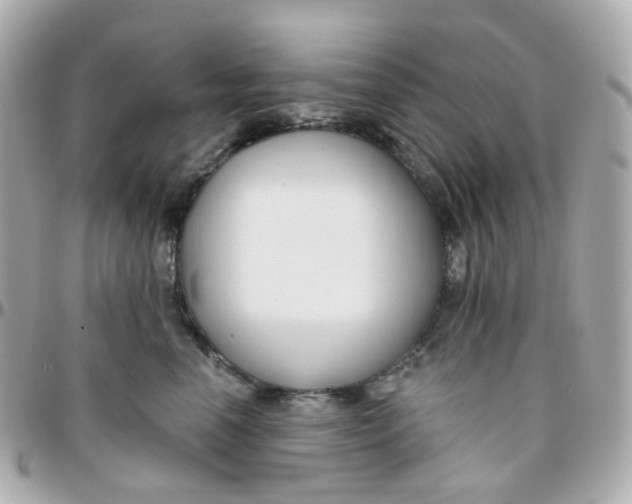 X0000095900666200802011129