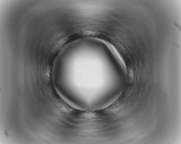 X0000095900668200802011129