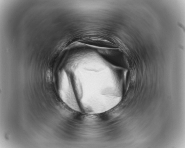 X0000095900669200802011129