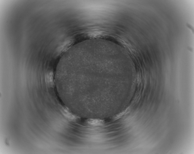 X0000095900670200802011129