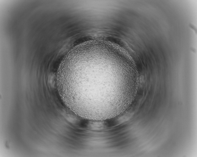 X0000095900671200802011129