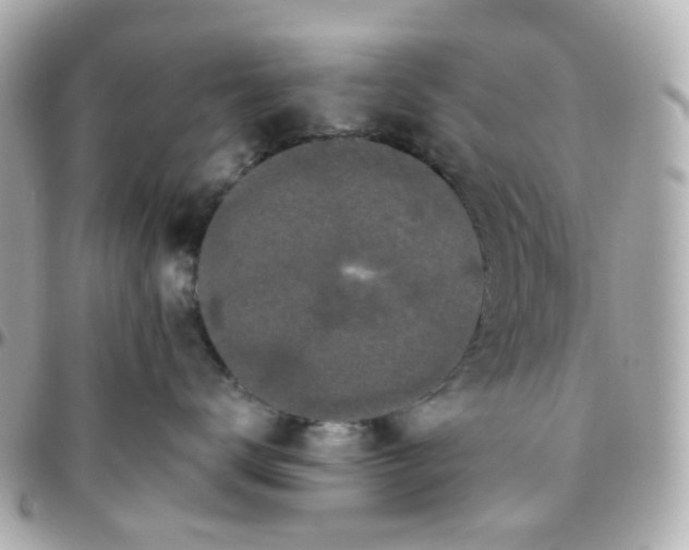 X0000095900672200802011129