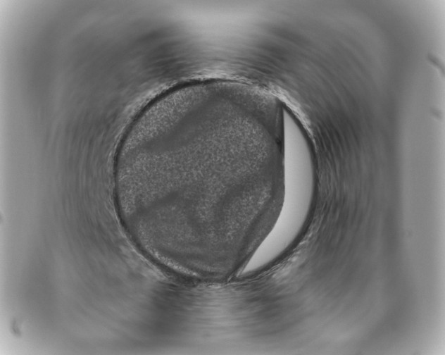 X0000095900673200802011129