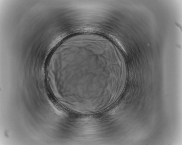 X0000095900674200802011129