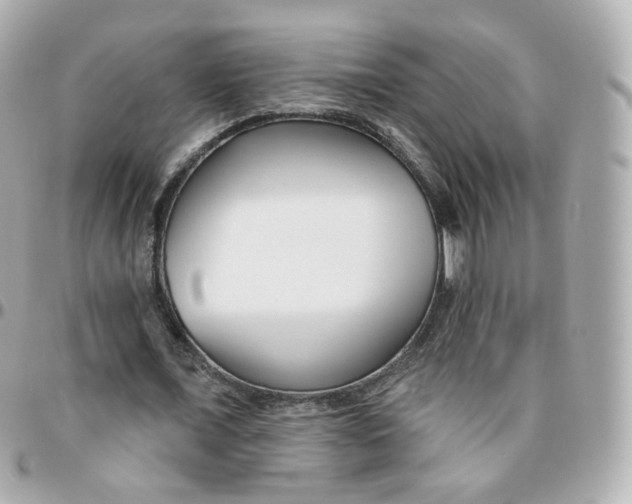 X0000095900675200802011129