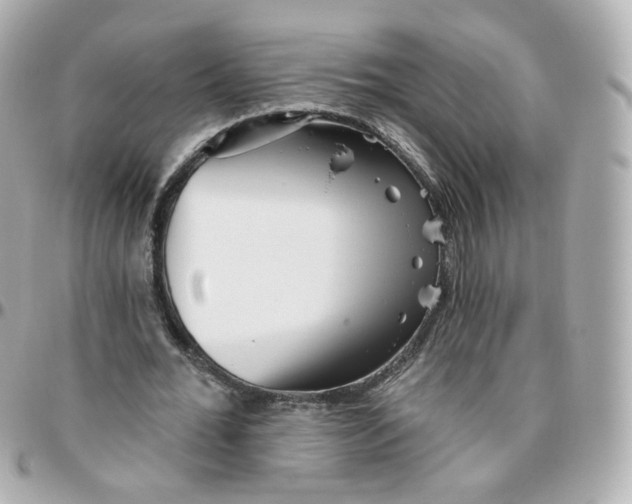 X0000095900676200802011129