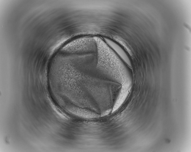 X0000095900677200802011129