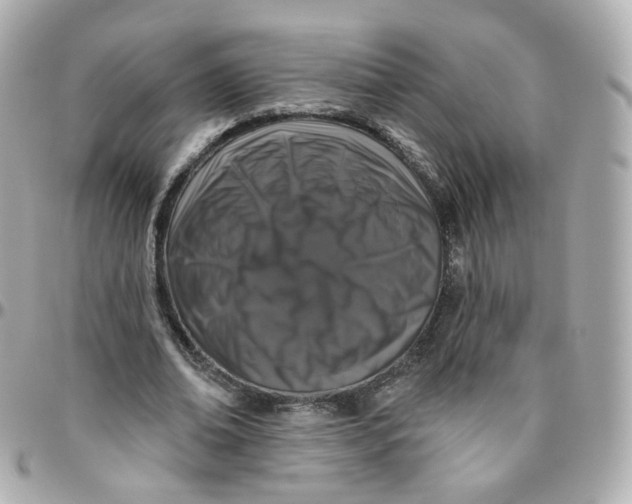 X0000095900678200802011129