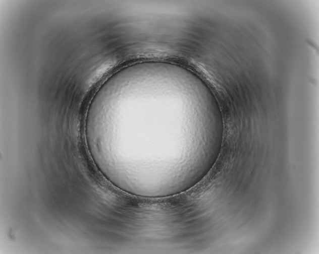 X0000095900679200802011129