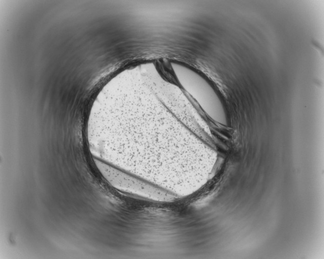 X0000095900681200802011129