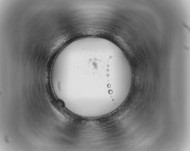 X0000095900683200802011129