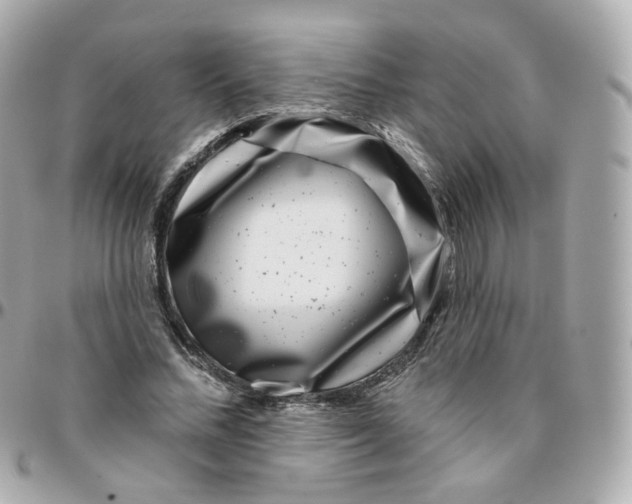 X0000095900684200802011129