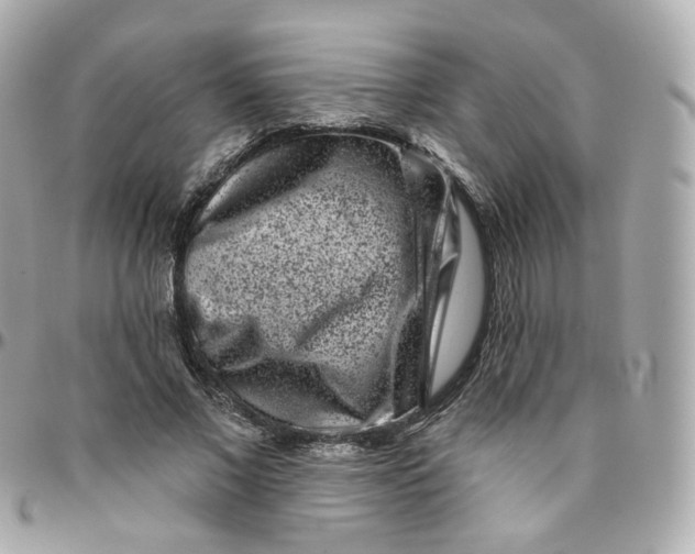 X0000095900685200802011129