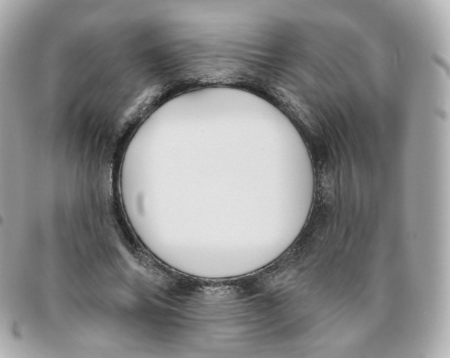 X0000095900686200802011129