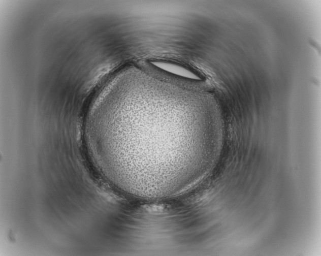 X0000095900687200802011129