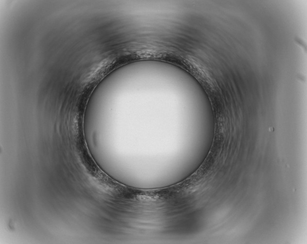 X0000095900690200802011129