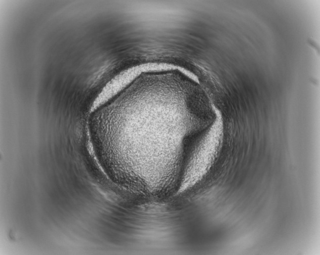 X0000095900691200802011129