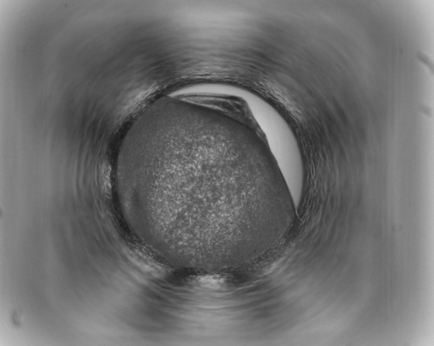 X0000095900692200802011129