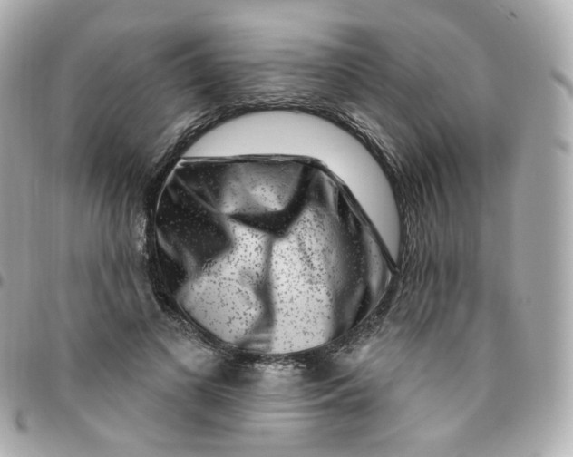 X0000095900693200802011129