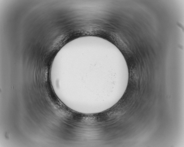 X0000095900694200802011129