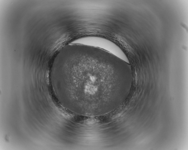 X0000095900696200802011128