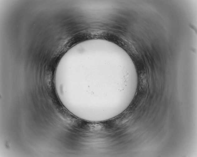 X0000095900698200802011128