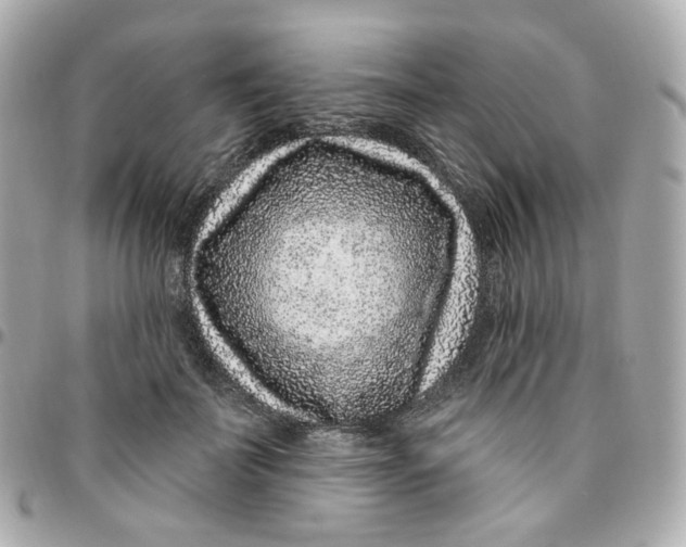 X0000095900699200802011128