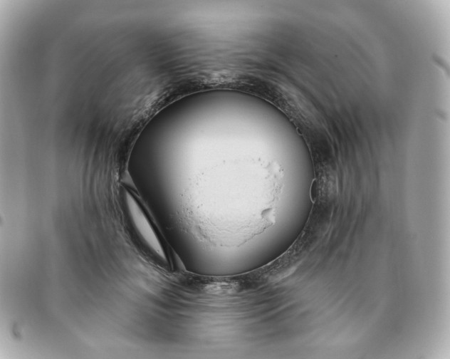 X0000095900700200802011128